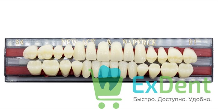 Гарнитур акриловых зубов B1, S4, Naperce и New Ace (28 шт) - фото 9462