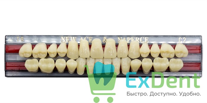 Гарнитур акриловых зубов C2, T6, Naperce и New Ace (28 шт) - фото 9468