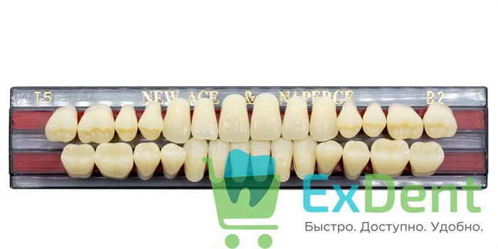 Гарнитур акриловых зубов B2, T5, Naperce и New Ace (28 шт) - фото 9474