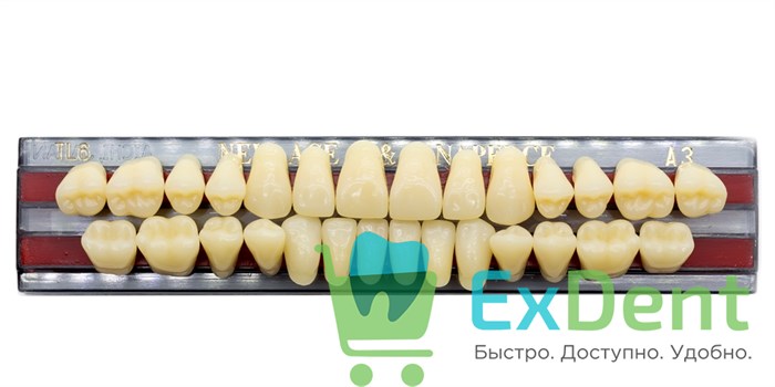 Гарнитур акриловых зубов A3, TL6, Naperce и New Ace (28 шт) - фото 9480