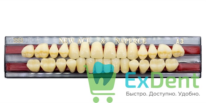 Гарнитур акриловых зубов A3, SS3, Naperce и New Ace (28 шт) - фото 9485