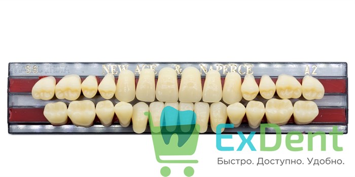 Гарнитур акриловых зубов A2, S6, Naperce и New Ace (28 шт) - фото 9496