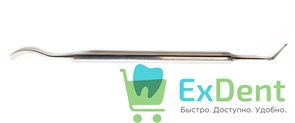{{photo.Alt || photo.Description || 'Гладилка серповидная, Струм'}}