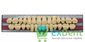 Гарнитур акриловых зубов A3,5, TL5 Gloria New Ace (28 шт)