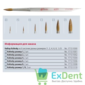 {{photo.Alt || photo.Description || 'Кисть Колински / Kolinsky №6 моделировочная из красн.куницы 1713-1006 1шт*'}}