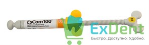 EsCom (Еском) 100 B2 - наногибридный пломбировочный материал (4 г)