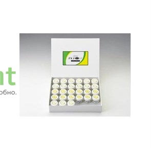 Набор низкотемпературной достроечной керамики EX-3 PRESS LF COMPLETE KIT