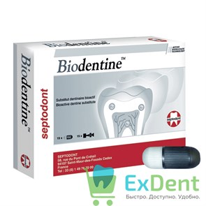 {{photo.Alt || photo.Description || 'Biodentine (Биодентин) - биоактивный заменитель дентина (15+15 капсул)'}}