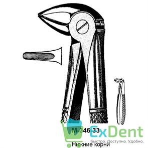 {{photo.Alt || photo.Description || 'Щипцы, Legrin, №346/33 для удаления корней нижней челюсти'}}