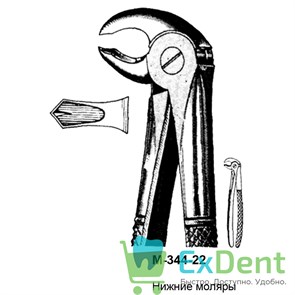 {{photo.Alt || photo.Description || 'Щипцы, Legrin, №344/22 для удаления моляров нижней челюсти'}}