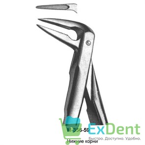 {{photo.Alt || photo.Description || 'Щипцы, Legrin, №356/59 для удаления корней нижней челюсти'}}