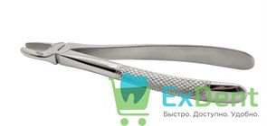 Щипцы №1 для центральнцых зубов и клыков верхней челюсти (BD700/1)