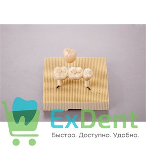 {{photo.Alt || photo.Description || 'Трегер Mesh-Tray set в наборе: 2 трегера с 10 стальными штифтами'}}