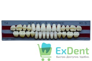 {{photo.Alt || photo.Description || 'Гарнитур акриловых зубов W05, T4, Naperce и New Ace (28 шт)'}}