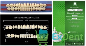 {{photo.Alt || photo.Description || 'Гарнитур акриловых зубов A3,5, T2, M30, Million и New Ace (28 шт)'}}