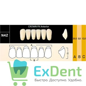 {{photo.Alt || photo.Description || 'Гарнитур фронтальных зубов  Crown PX - нижние, цвет A3,5 фасон N42, композитные трехслойные (6шт)'}}