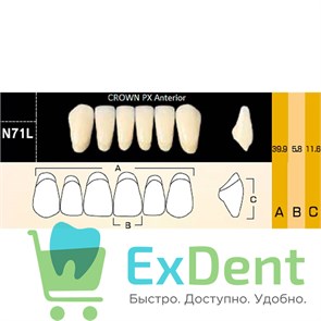 {{photo.Alt || photo.Description || 'Гарнитур фронтальных зубов  Crown PX - нижние, цвет A3,5 фасон N71L, композитные трехслойные (6шт)'}}