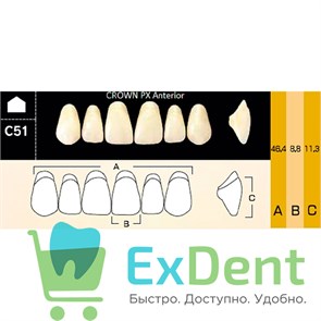 {{photo.Alt || photo.Description || 'Гарнитур фронтальных зубов  Crown PX - верхние, цвет A3,5 фасон C51, композитные трехслойные (6шт)'}}