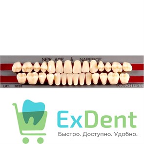 {{photo.Alt || photo.Description || 'Гарнитур акриловых зубов B1, T1, Naperce и New Ace (28 шт)'}}