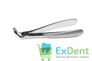 {{photo.Alt || photo.Description || 'Щипцы ф. 21 английская форма, стандартная ручка'}}