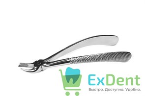 {{photo.Alt || photo.Description || 'Щипцы ф. 89 английская форма, стандартная ручка'}}