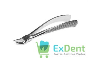 {{photo.Alt || photo.Description || 'Щипцы ф. 90 английская форма, стандартная ручка'}}