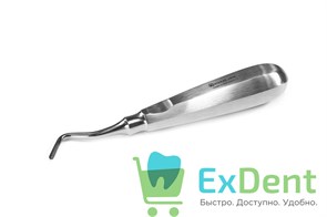 {{photo.Alt || photo.Description || 'Апикальный элеватор ф. APICAL 303 R, угловой'}}
