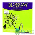 Резиновые завесы Blossom черные M (152 х 152 мм) - листы латексные для раббердам (36 шт) - фото 27956