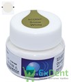Zeo Ce Light Accent (Акцент ) Snow White - для создания цветовых эфектов дентина и эмали (20 г) - фото 38280