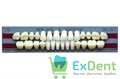 Гарнитур акриловых зубов W0.5, T3, Naperce и New Ace (28 шт) - фото 38970