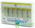 04 Dispodent