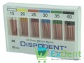 06 Dispodent