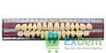 Гарнитур акриловых зубов A3, SS2, Naperce и New Ace (28 шт) - фото 9484